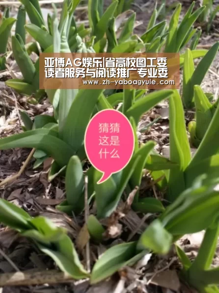 亚博AG娱乐